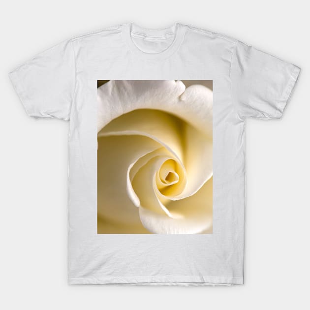 Feminine Yellow Rose T-Shirt by NewburyBoutique